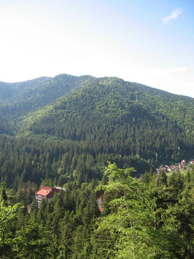 Antonia Hotel BaileTusnad Luaran gambar